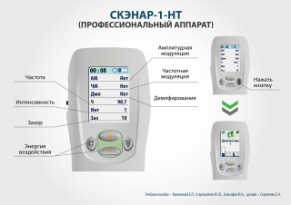 СКЭНАР-1-НТ (исполнение 01)  в Раменском купить Скэнар официальный сайт - denasvertebra.ru 